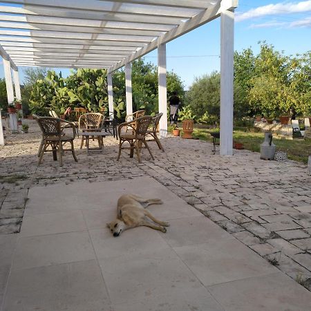 Agriturismo Gaia Βίλα Νότο Εξωτερικό φωτογραφία