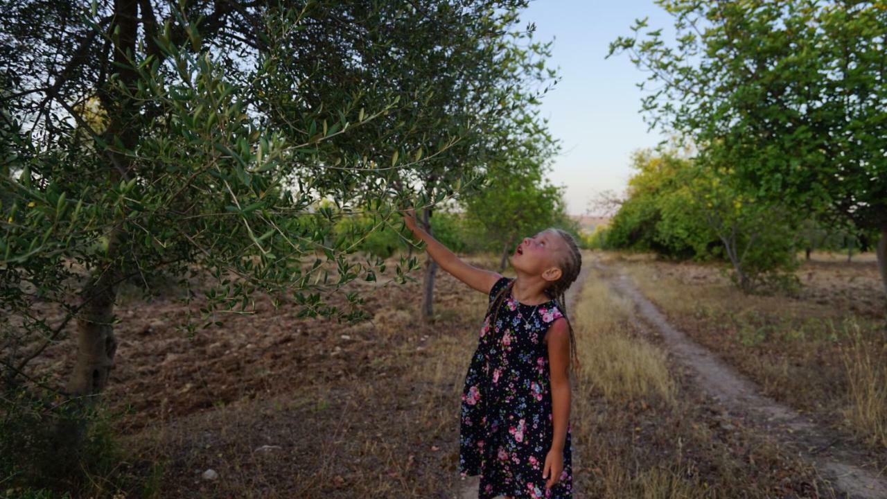 Agriturismo Gaia Βίλα Νότο Εξωτερικό φωτογραφία