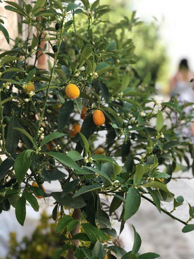 Agriturismo Gaia Βίλα Νότο Εξωτερικό φωτογραφία