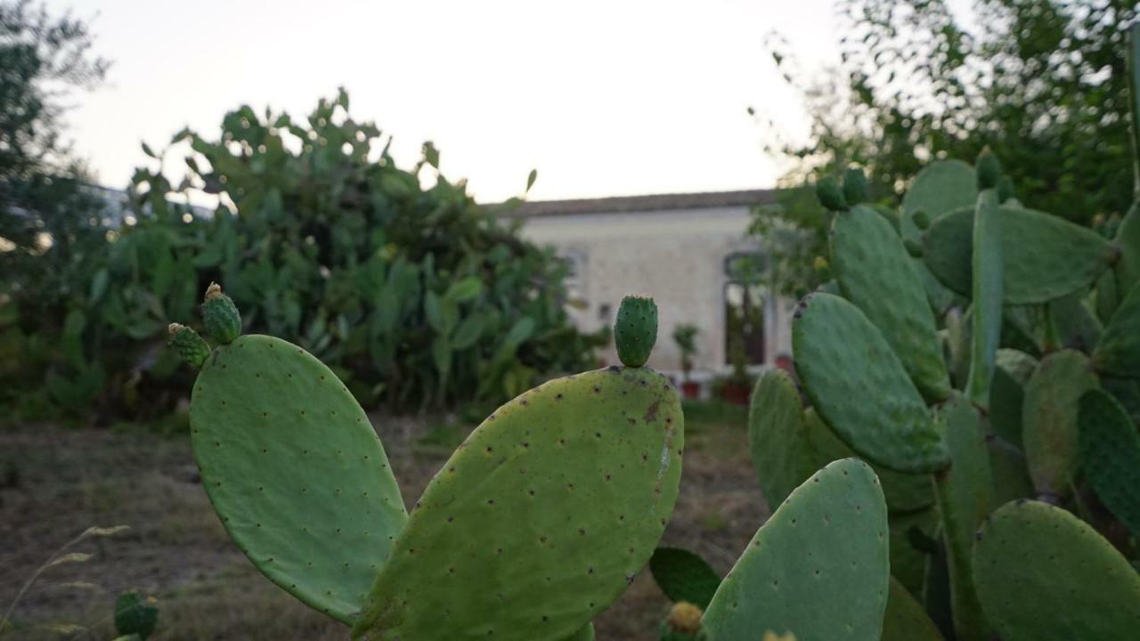 Agriturismo Gaia Βίλα Νότο Εξωτερικό φωτογραφία