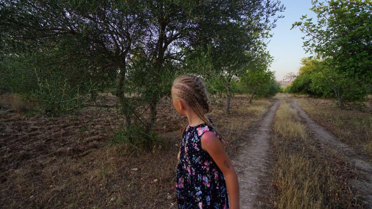 Agriturismo Gaia Βίλα Νότο Εξωτερικό φωτογραφία
